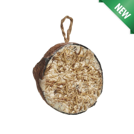 Gardman Supreme Coconut Feeder with Mealworms Single