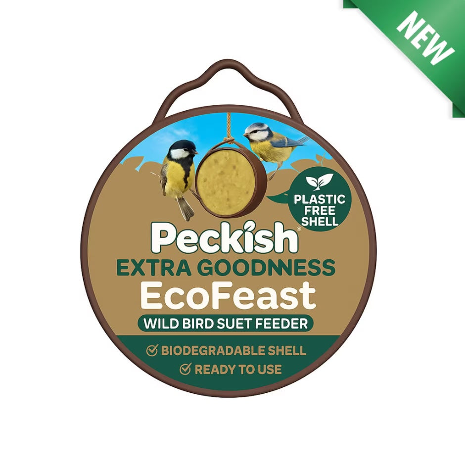 Peckish Extra Goodness Eco Feast Suet Feeder Single